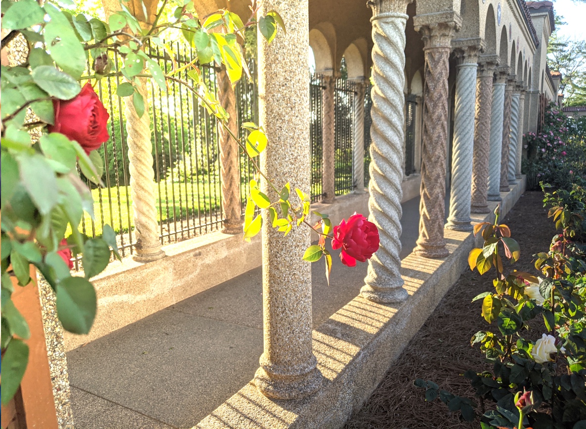 Columns & Flowers